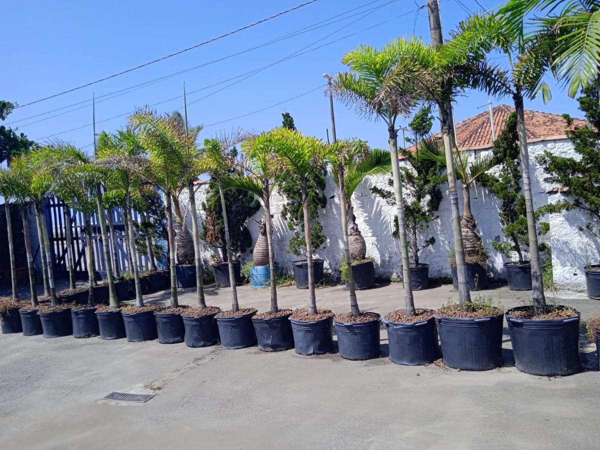 Pousada Sereia Jofisa Itanhaém Dış mekan fotoğraf